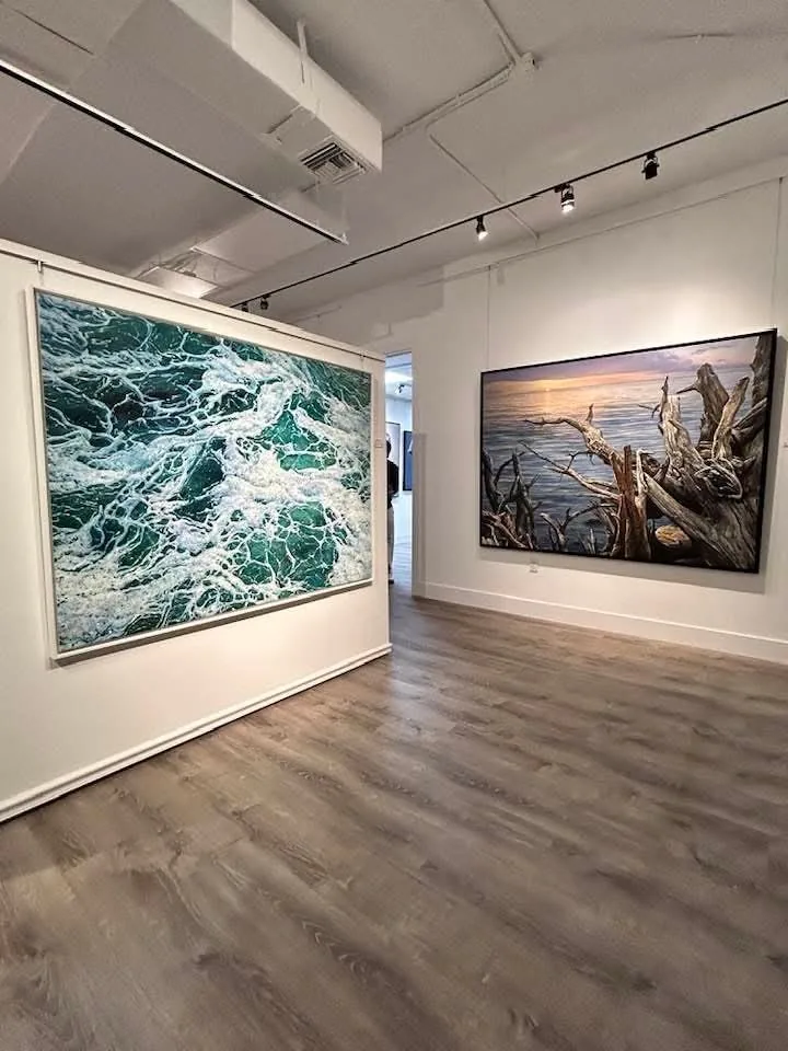 Luis Alberto Saldaña, in the gallery