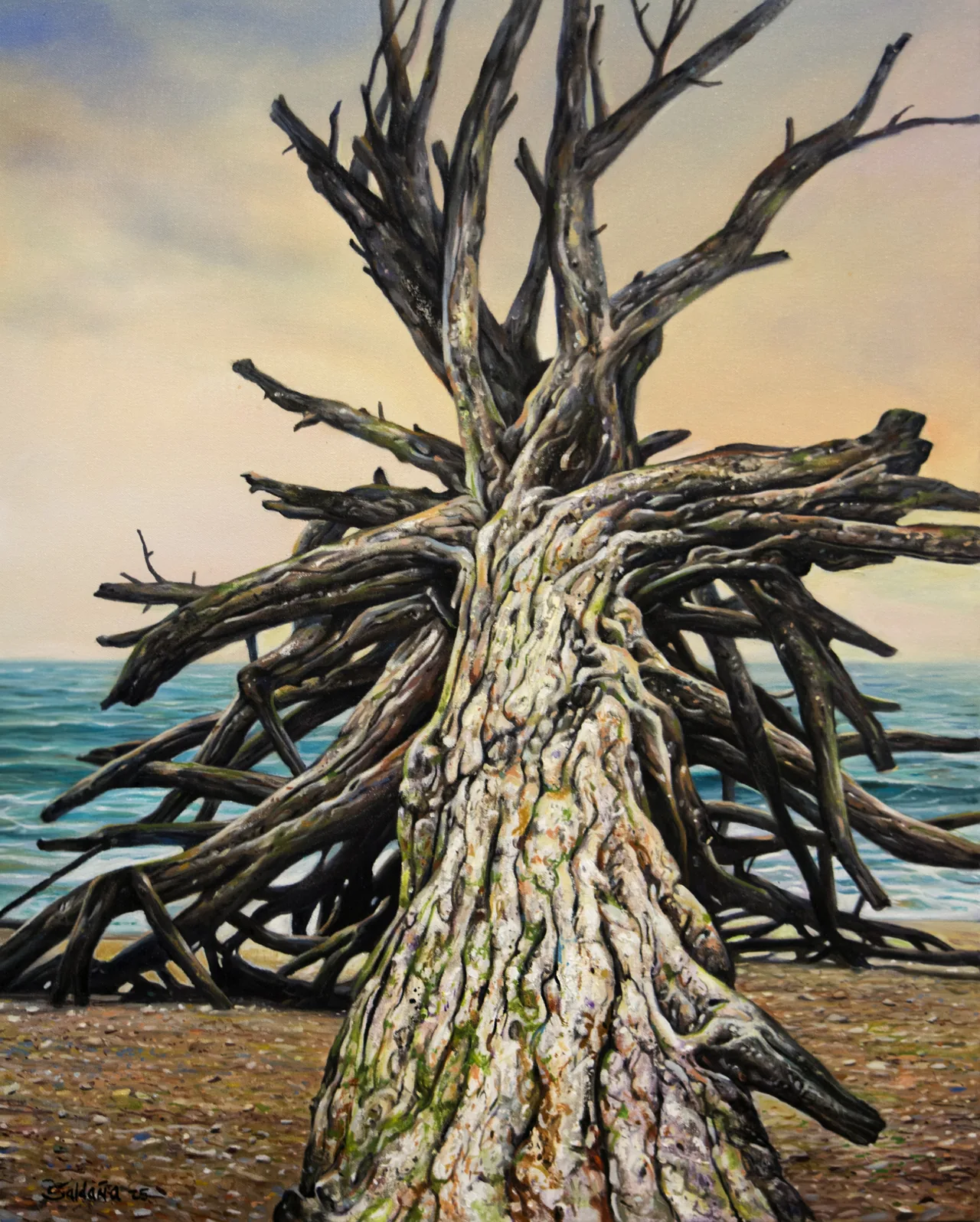 Untitled, 2025, oil on canvas — painting by Luis Alberto Saldaña